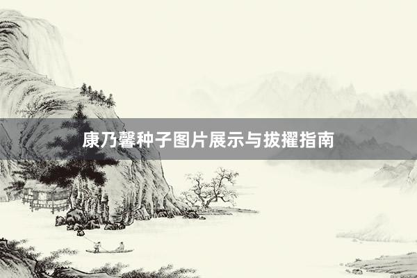 康乃馨种子图片展示与拔擢指南