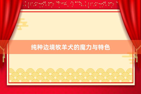 纯种边境牧羊犬的魔力与特色