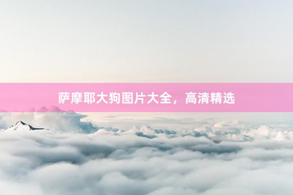 萨摩耶大狗图片大全，高清精选