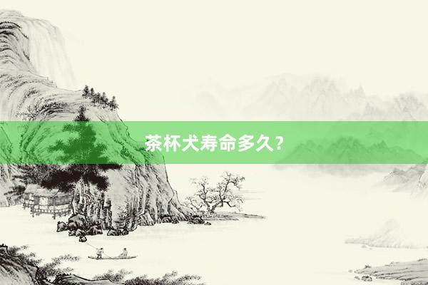 茶杯犬寿命多久？
